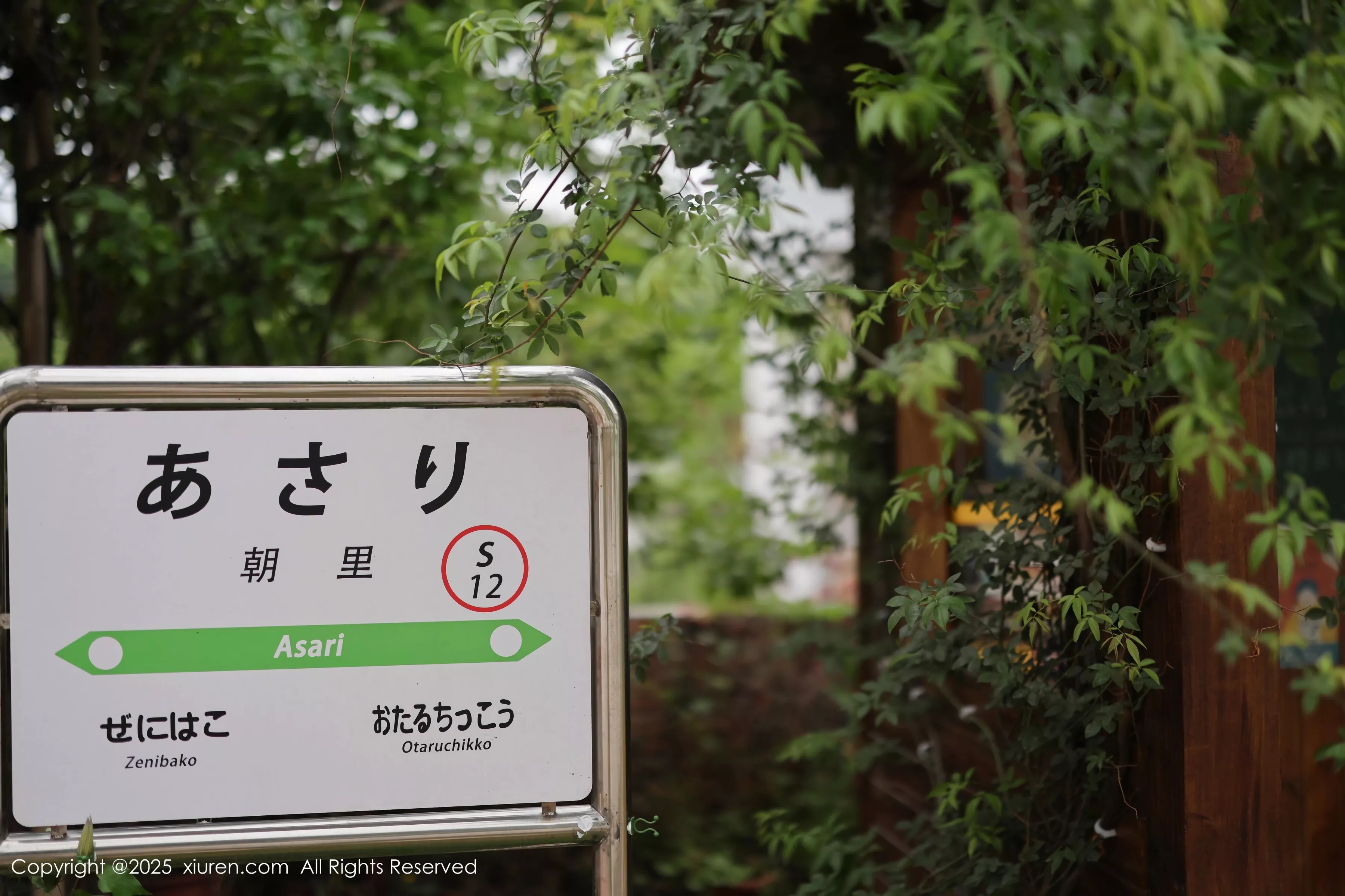 Xrmnw.Vip_茂木希子_写真